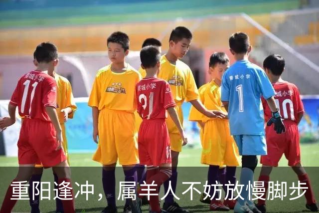 重阳逢冲,属羊人不妨放慢脚步